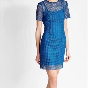 Diane Von Furstenberg Mesh Overlay Dress